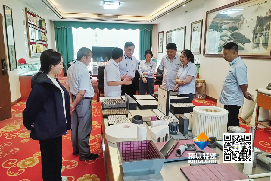 清华大学潘伟教授到访尊龙凯时特瓷